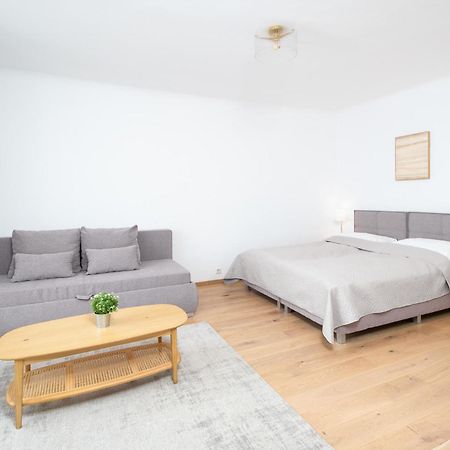 Apartment Ballgasse فيينا المظهر الخارجي الصورة